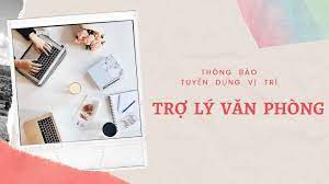 lĩnh vực hoạt động